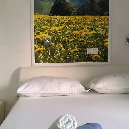 Marija Guest house 3*